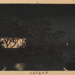 添田町中元寺のホタル⑤～KAJITANIレポート（№11）